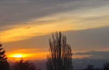 Sunrise (April 1, 2021). Photo courtesy of Jackie Rodriguez of Ferndale.