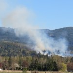 Smoke rises from an outside fire in the 3100 block of Mt Baker Highway (April 18, 2021). Photo: Whatcom News