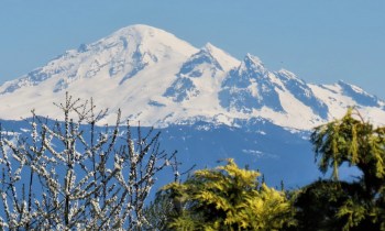 Mount Baker seen from Ferndale (April 19, 2021). Photo: Whatcom News