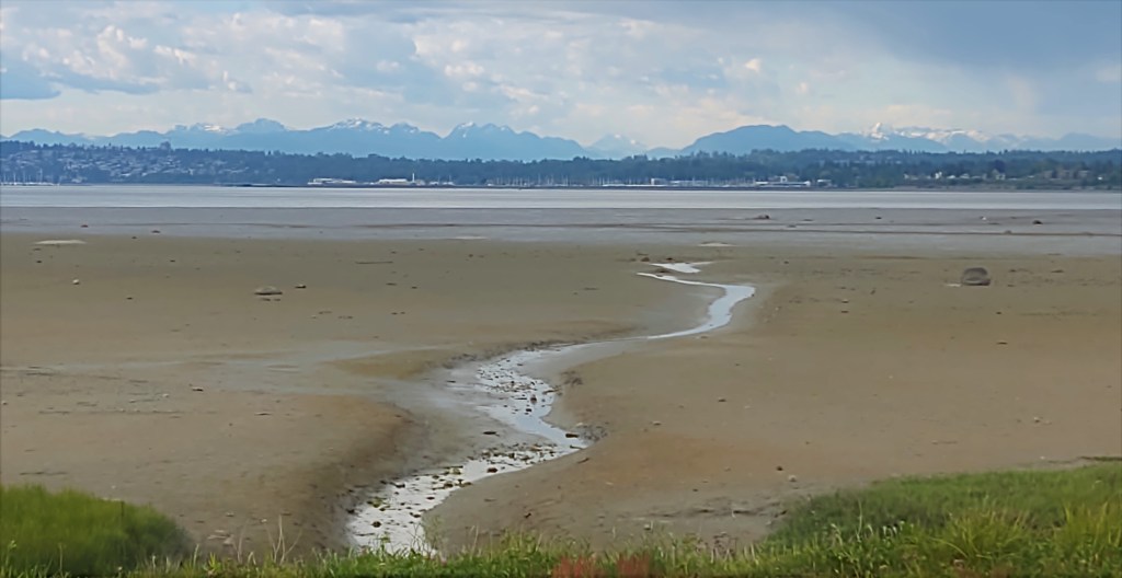 Looking north across Drayton Harbor (May 20, 2021). Photo: Whatcom News