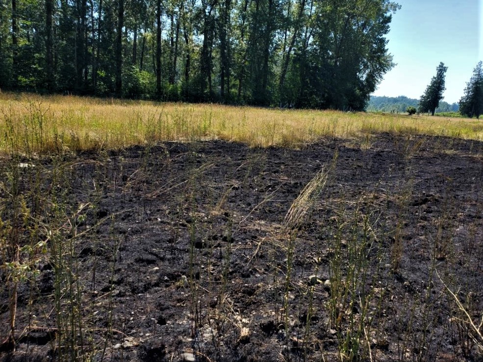 Deming Road grass fire aftermath (June 28, 2021). Photo courtesy of WCFD1
