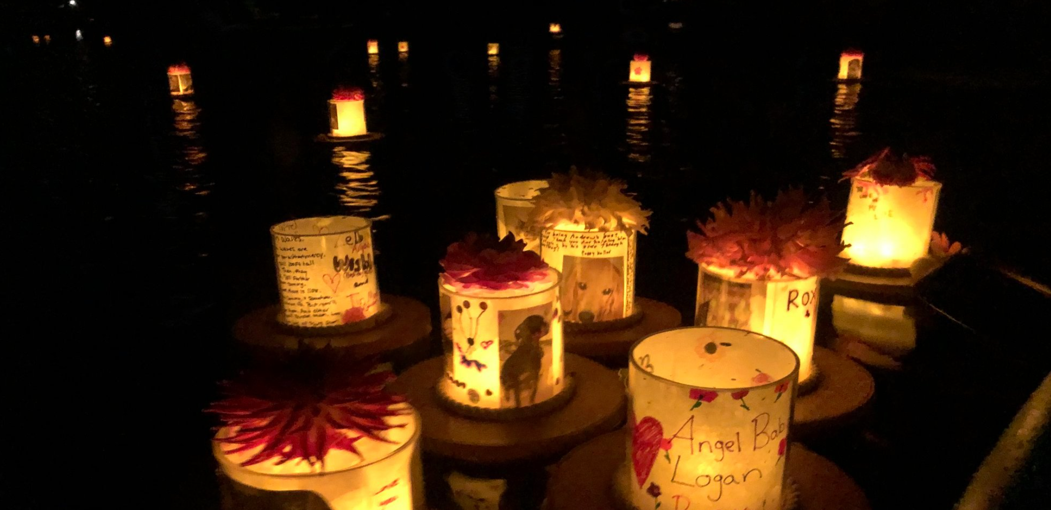 Floating Lantern Pet Memorial on Lake Whatcom. Photo courtesy of Radiant Heart After-Care for Pets