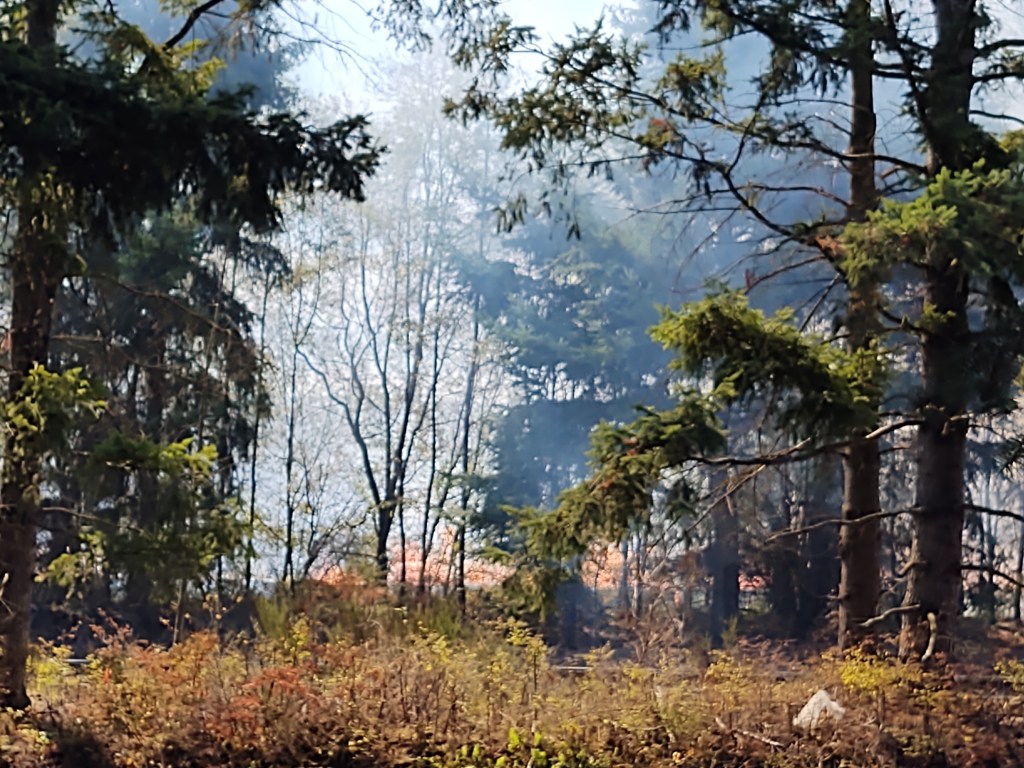 Scene of a commercial outside fire on Salashan Parkway as viewed from Portal Way (September 7, 2021). Photo: Whatcom News