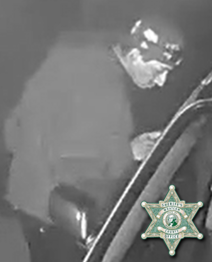 Still image from security video of a suspicious person seen going house to house checking vehicle doors (September 10, 2021). Source: WCSO
