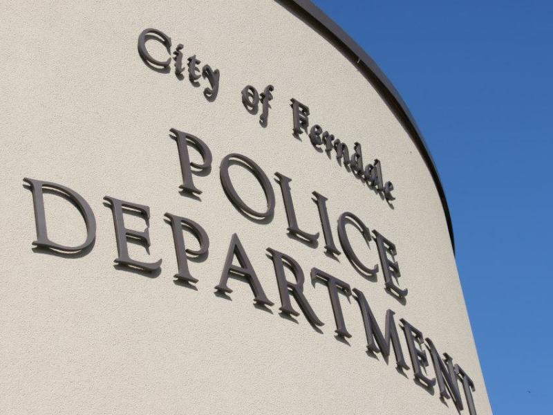 Details released regarding Ferndale murder