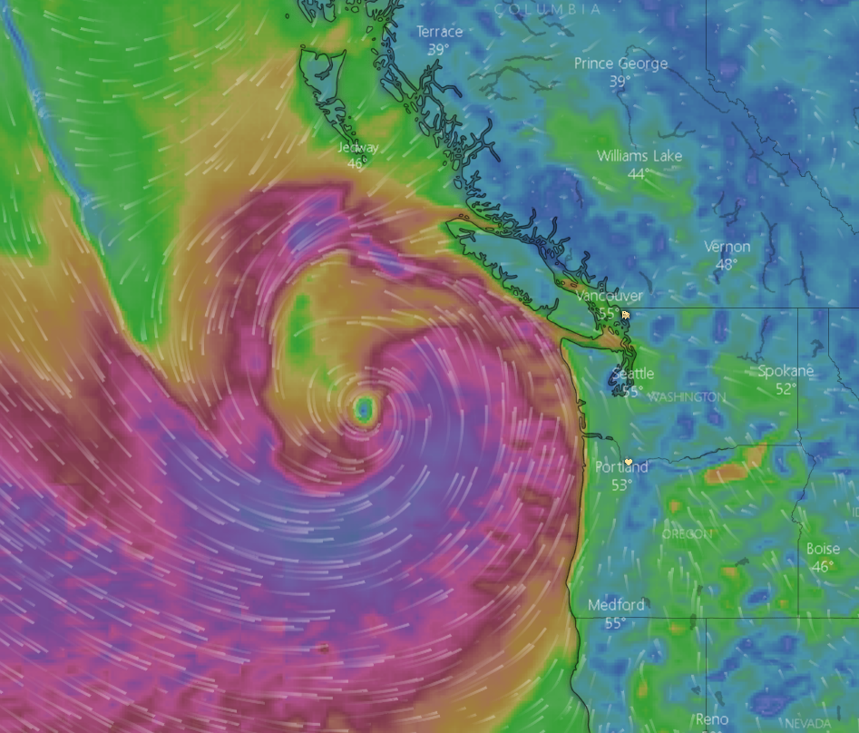 Graphical representation of October 22, 2021 wind forecast for Sunday, October 24, 2021 at 12pm. Source: Windy.com