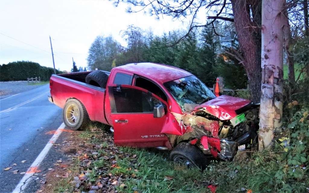 Scene of a pickup versus tree crash at Malloy and Brown Roads (November 11, 2021). Photo: Whatcom News
