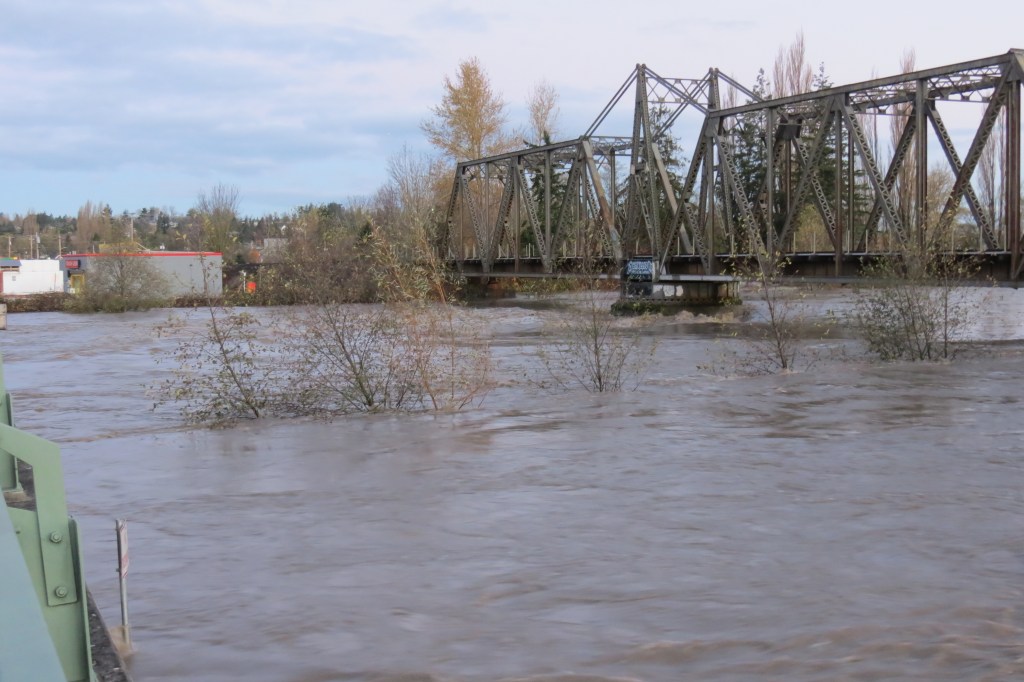 Nooksack River approaching Pioneer Bridge (Main Street) looking west (November 16, 2021). Photo: Whatcom News