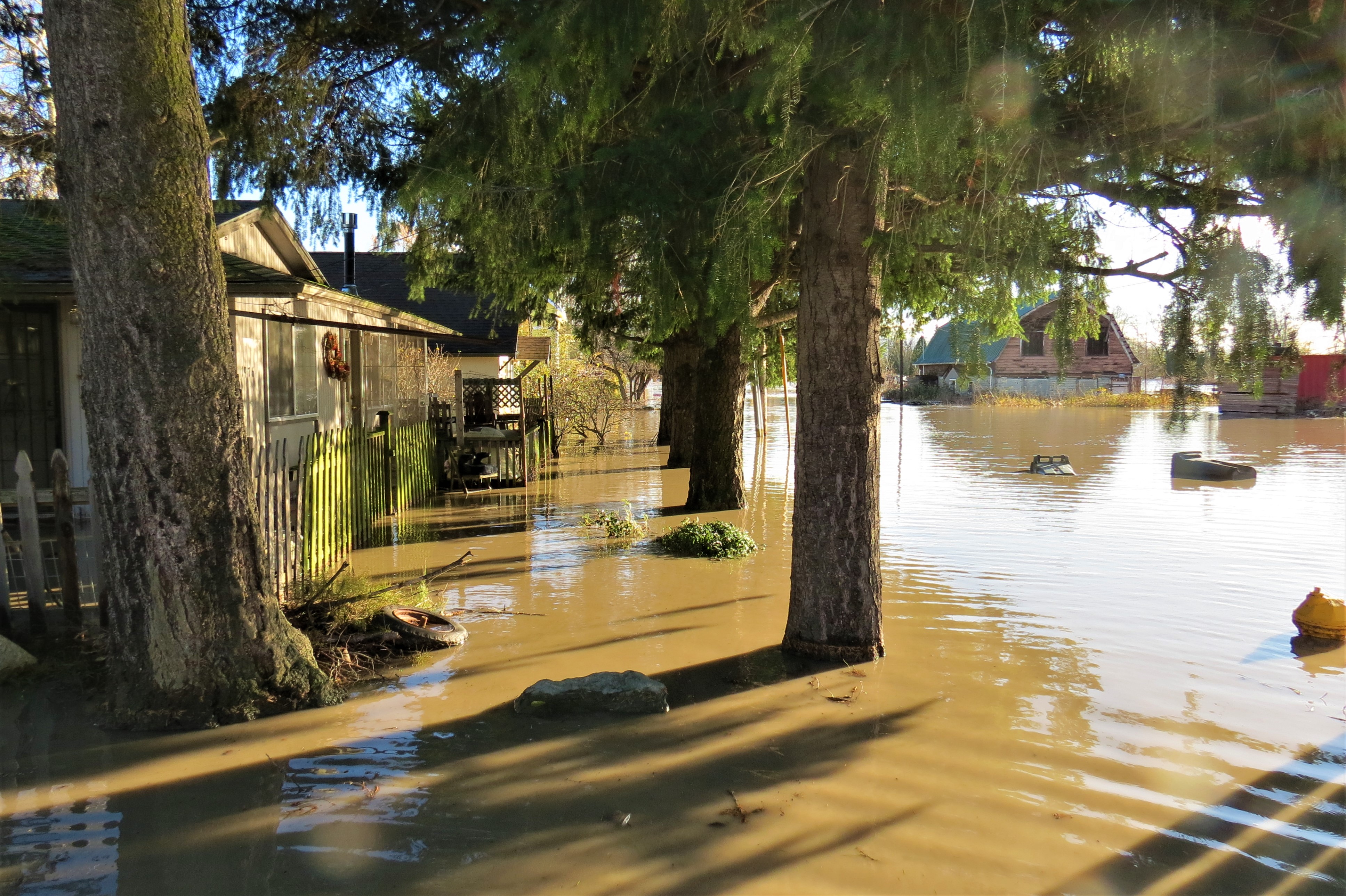 Residences on Washington Street in Ferndale after the Nooksack River had crested at about 23.5 feet (November 16, 2021). Photo: Whatcom News