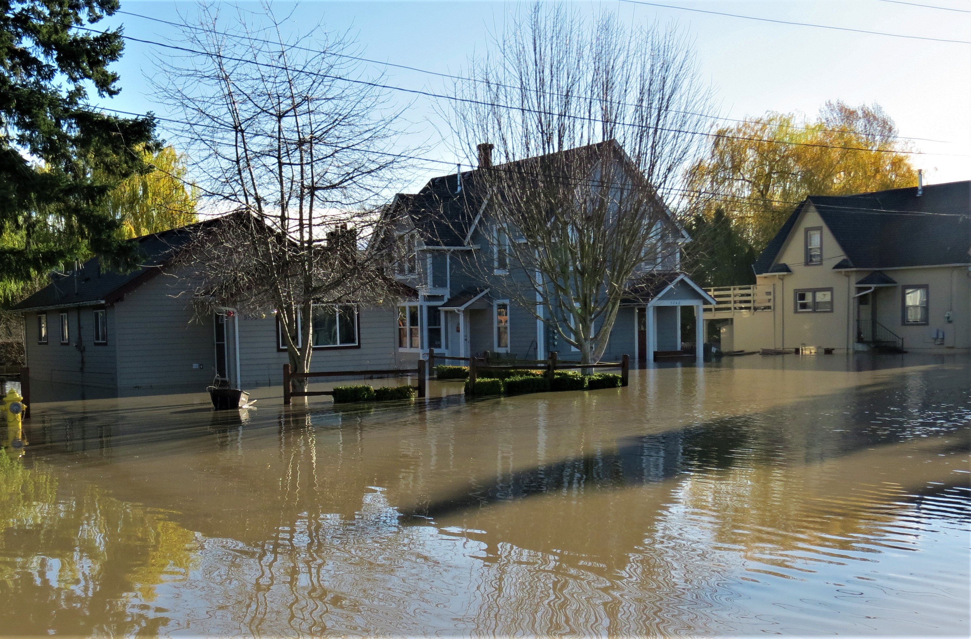 Residences on 2nd Avenue in Ferndale after the Nooksack River had crested at about 23.5 feet (November 16, 2021). Photo: Whatcom News