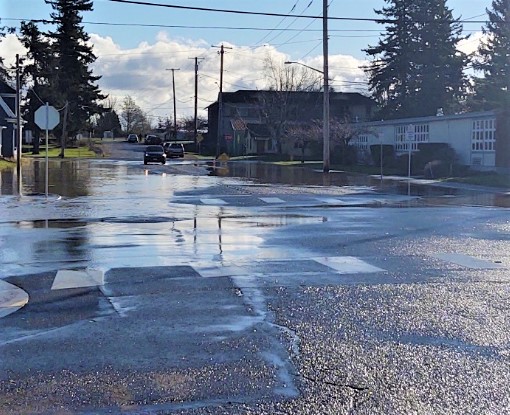 Flooding begins appearing in Ferndale evacuation zone (November 16, 2021). Photo: Whatcom News