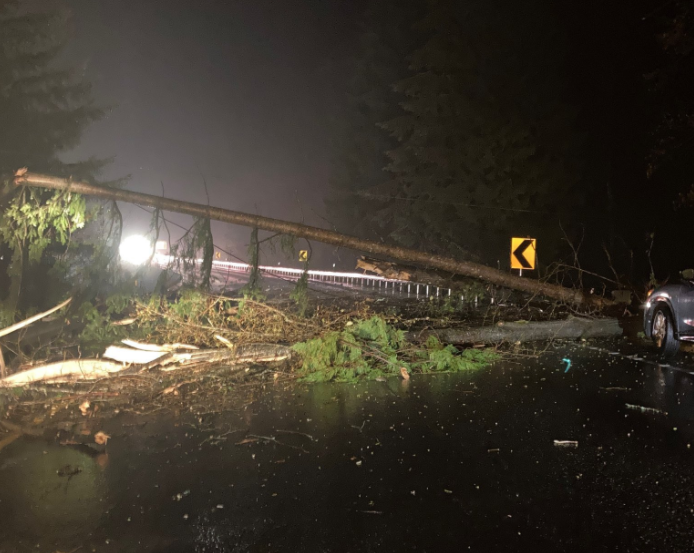 Downed trees blocking lanes of I-5 near N Lake Samish interchange (November 15, 2021). Photo courtesy of WSP