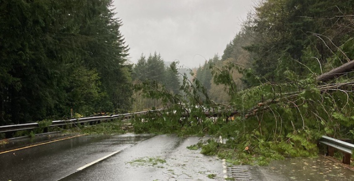 Trees and slide debris strewn across northbound lanes of I-5 near the Nulle Road interchange (November 15, 2021). Photos courtesy of WSDOT