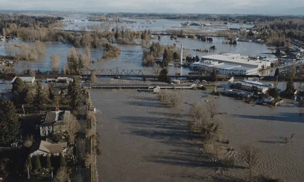 Still from a drone’s view video of Nooksack River flood event at 23.4′ in Ferndale (November 16, 2021). Video courtesy of a reader
