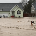 Flooded residential area in Sumas (November 15, 2021). Photo courtesy of Desiree Daniels