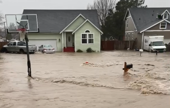 Flooded residential area in Sumas (November 15, 2021). Photo courtesy of Desiree Daniels