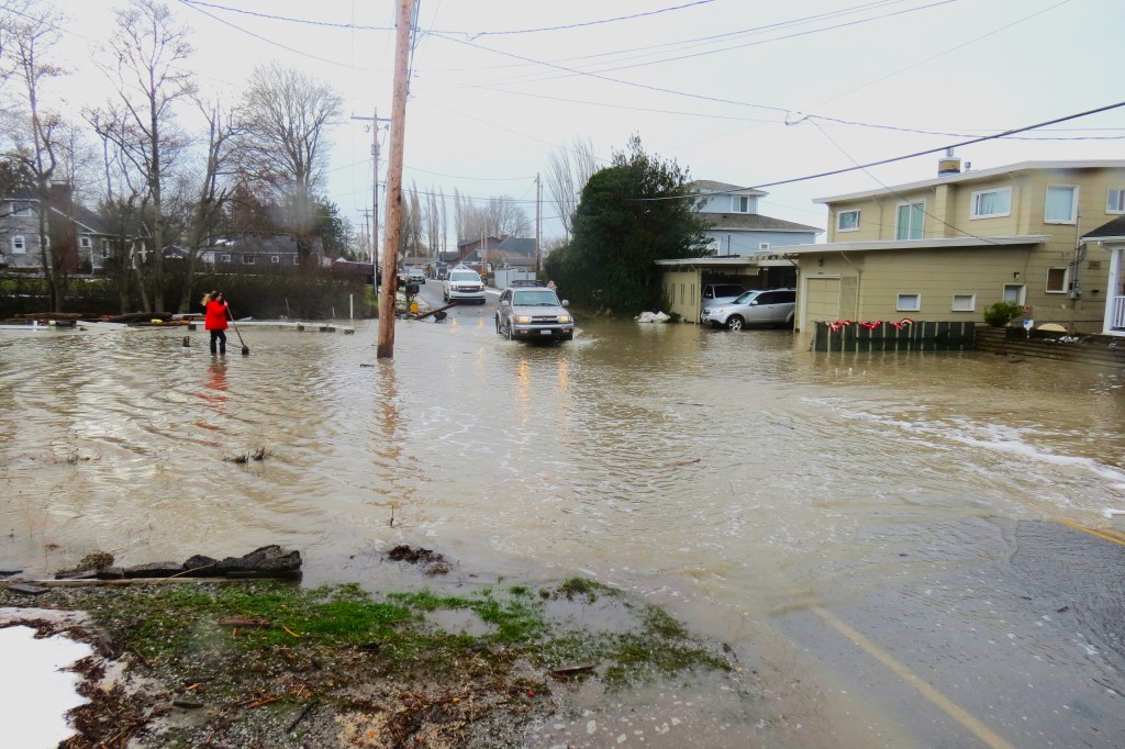 Residents and motorists battle tidal surge flood waters in the 4700 block of Sucia Drive (January 7, 2022). Photo: Whatcom News