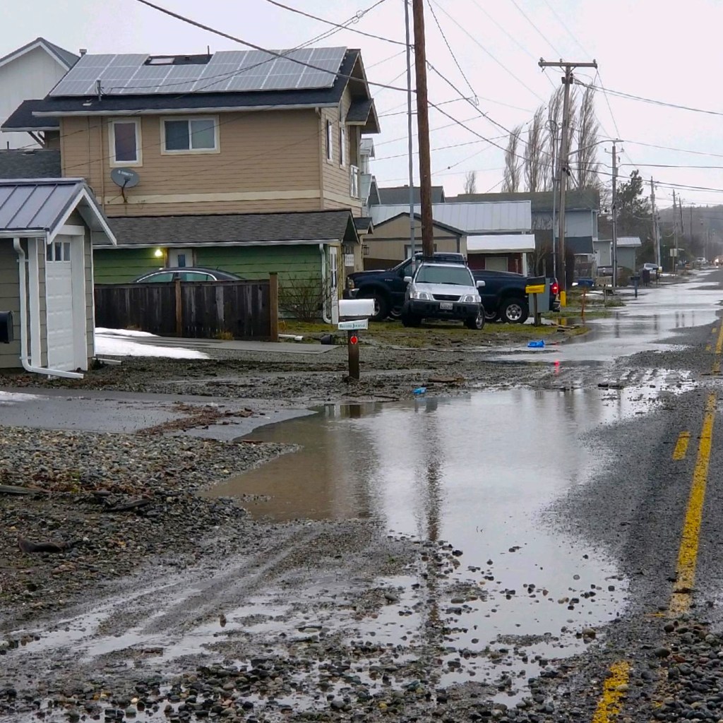 Residents and motorists battle tidal surge flood waters on Sucia Drive (January 7, 2022). Photo courtesy of Sandy Point Watch
