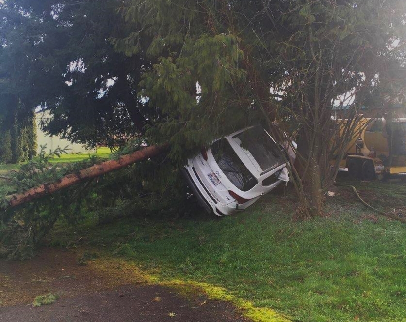 Scene of a single car crash on Birch Bay-Lynden Road (March 15, 2022). Photo courtesy of North Whatcom Fire & Rescue