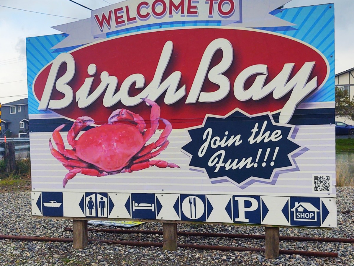 Official result of Birch Bay Polar Bear Plunge world record attempt released