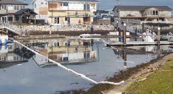 Pollution containment booms were visible the morning after a boat fire in the Sandy Point channel (March 4, 2022). Photo: Whatcom News