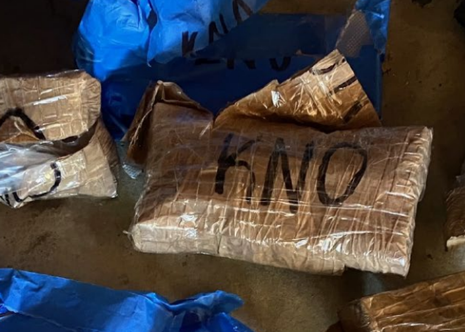Bricks of suspected fentanyl pills. Source: Western Washington District Court