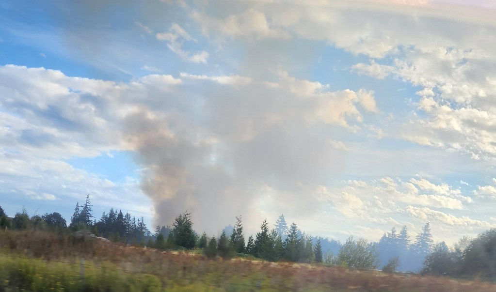 Smoke plume from a brush fire in Ferndale (August 27, 2022). Photo: Keely Clevenger