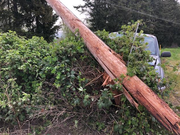 Car vs pole file photo. Whatcom News