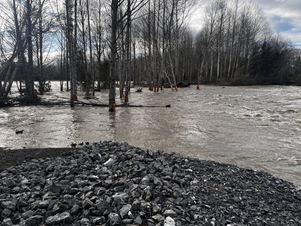 Water rushes over levee south of Slater Road following days of rain, snow melt and ice (December 28, 2022). Source: US Army Corps of Engineers Seattle District