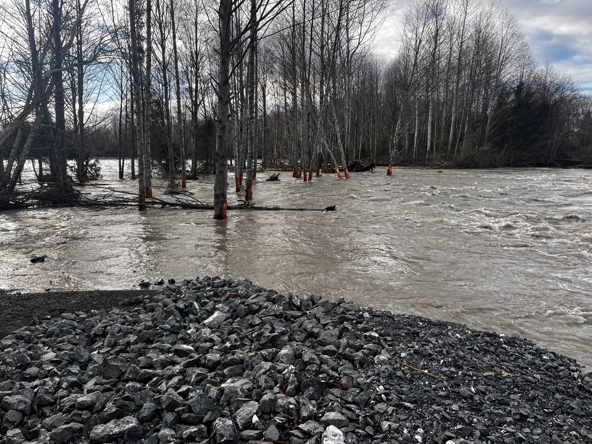 Water rushes over levee south of Slater Road following days of rain, snow melt and ice (December 28, 2022). Source: US Army Corps of Engineers Seattle District