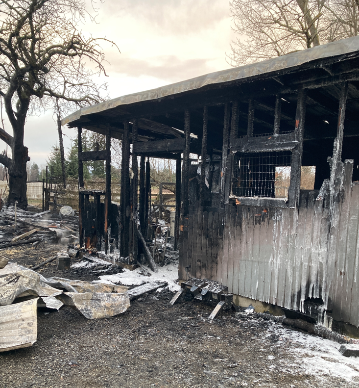 Chicken and duck coup involved in the fire (February 22, 2023). Photo courtesy of NWFR.