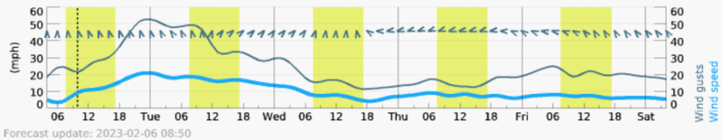 Sustained wind and wind gust forecasts for Whatcom County lowlands. Source: meteoblue