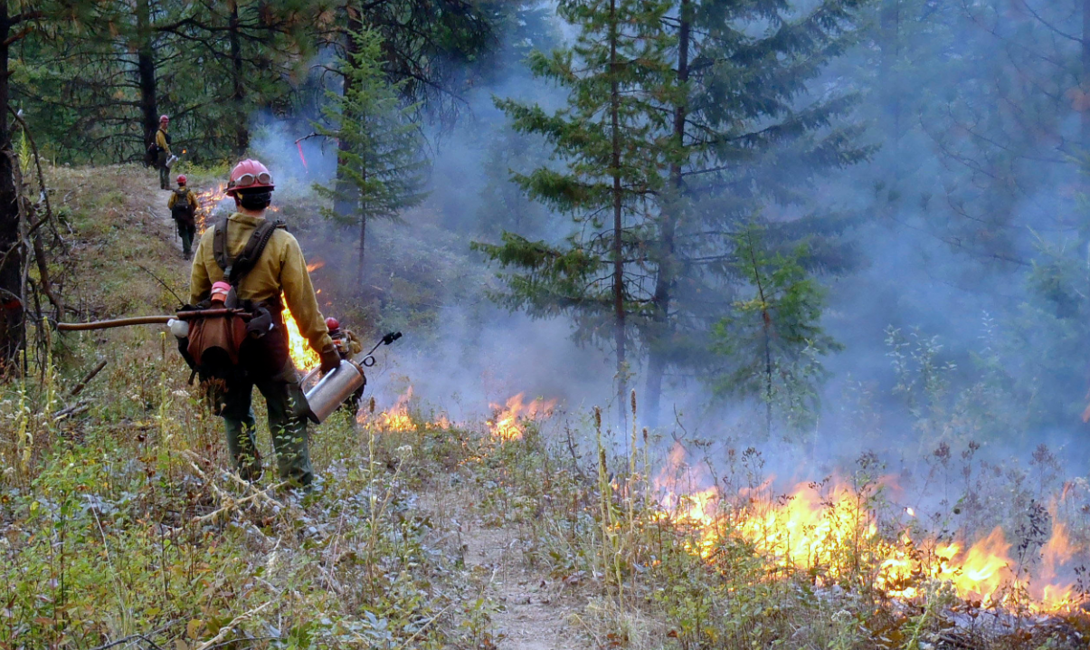 Crews tending to a prescribed burn. Source: National Forest Service