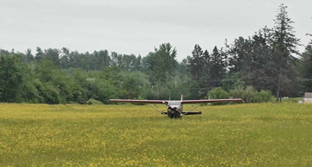A private plane is seen the morning after making an unscheduled landing in a field north of the Bellingham International Airport (May 23, 2023). Photo:Whatcom News