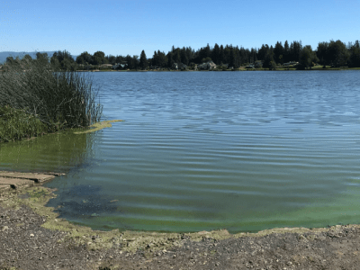 Water quality advisory issued for Lake Samish private drinking water systems