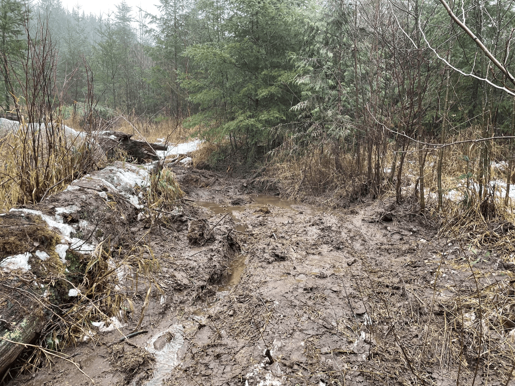 Damaged recreational area on Sumas Mountain (undated). Photo: WA State DNR