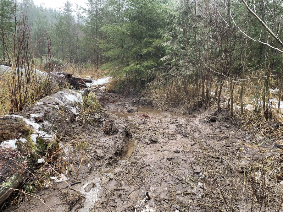 Damaged recreational area on Sumas Mountain (undated). Photo: WA State DNR