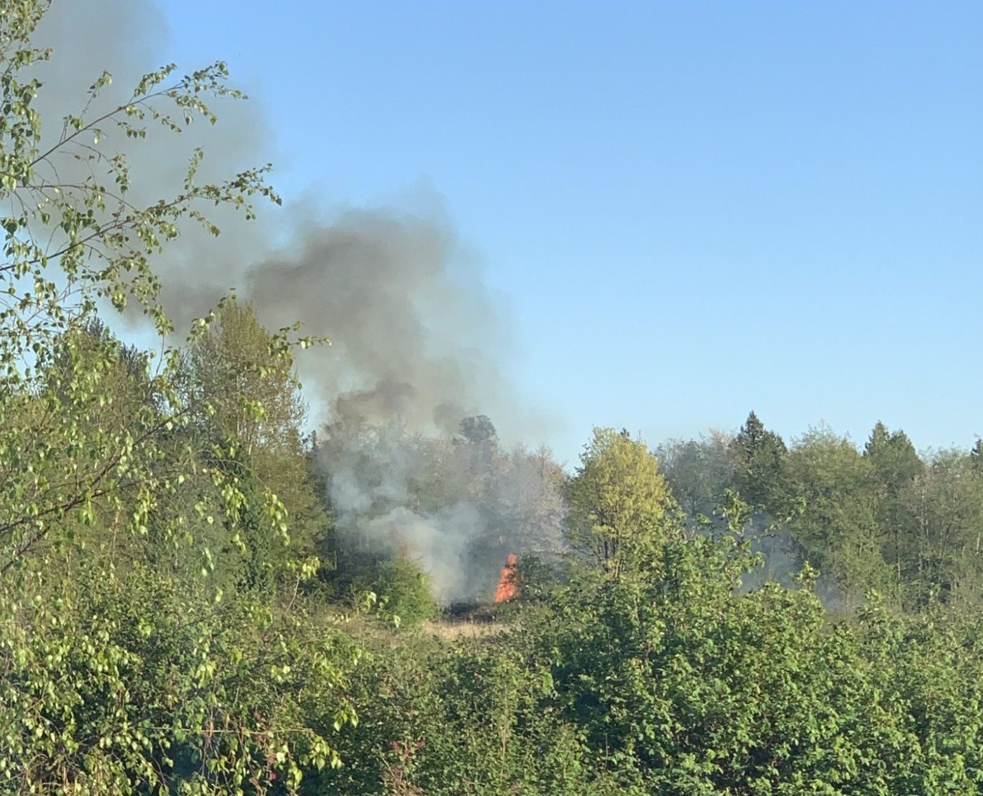 Outside fire in Ferndale (April 17, 2024). Photo courtesy of a reader.