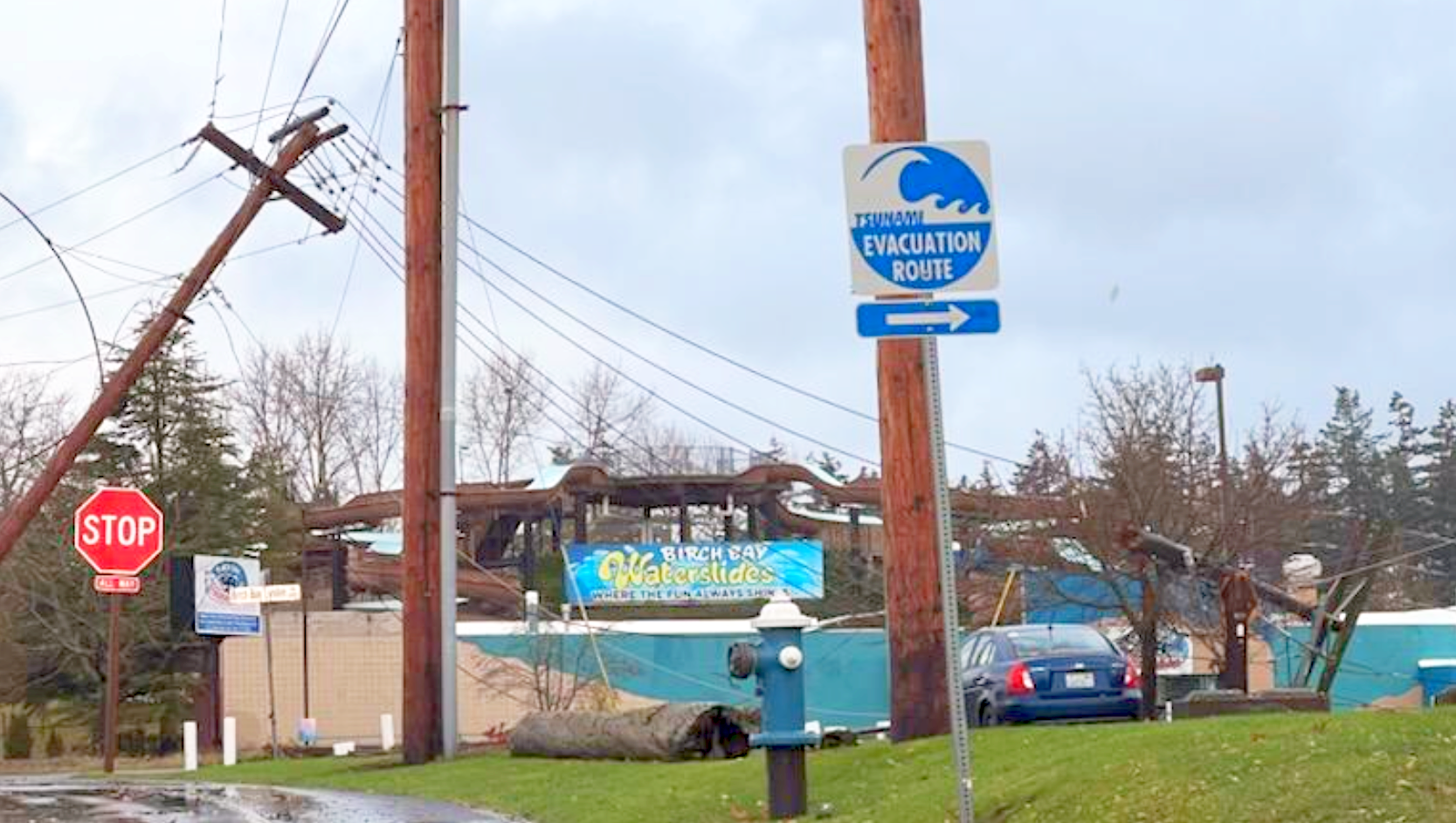 Scene of a snapped power pole with down lines at the intersection of Harborview and Birch Bay-Lynden Roads (November 4, 2024). Photo courtesy of Chelsee Autry