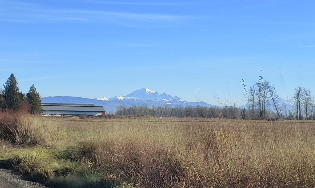 View of Mt Baker from Custer (December 3, 2024). Photo: Whatcom News