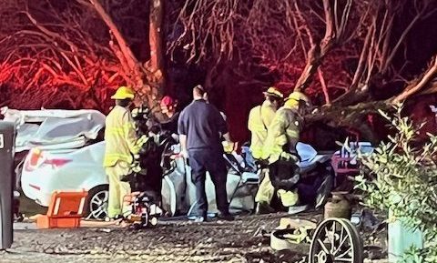 Scene of car versus tree crash on Hannegan Road (March 14, 2025). Photo courtesy of Tim Phillips