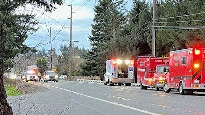 Scene of car versus tree crash on Hannegan Road (March 14, 2025). Photo courtesy of Tim Phillips
