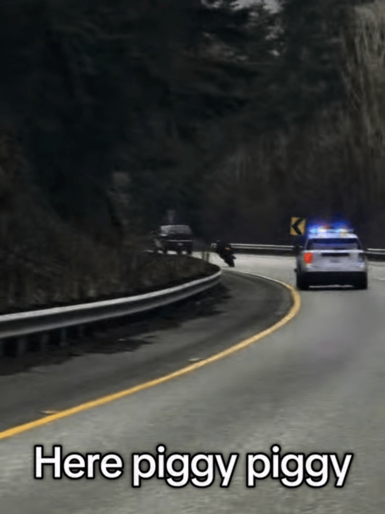 An example of content posted on social media by a suspect (undated). Source: WSP