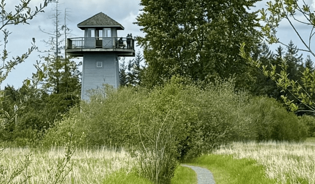 Tennant Lake Tower (unknown date). Source: Whatcom County Parks & Recreation