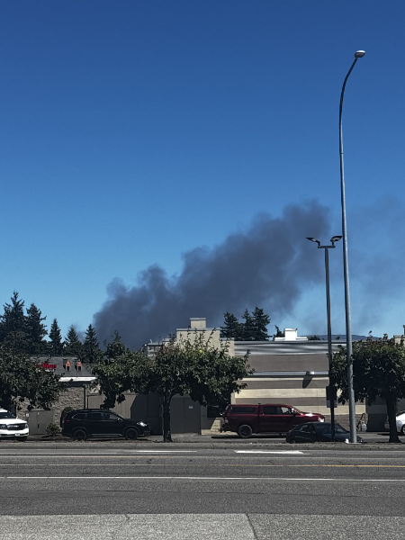 View of Everson barn fire smoke plume looking east from Guide Meridian in Lynden (July 15, 2025). Photo courtesy of a reader.
