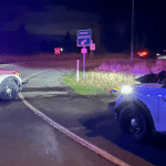 Scene at the end of a highspeed pursuit (February 24, 2026). Source: WSP