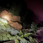 Scene of multiple landslides onto I-5 south of Bellingham (March 19, 2026). Photo: WSP