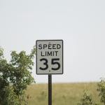rural road speed limit sign amidst green foliage