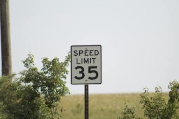 rural road speed limit sign amidst green foliage