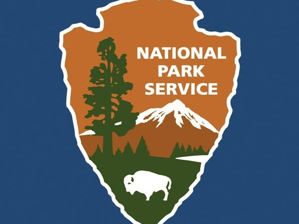 Bear activity closes Whatcom County campground